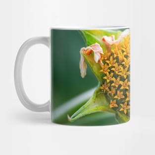 Mexican-Sunflower Photograph Mug